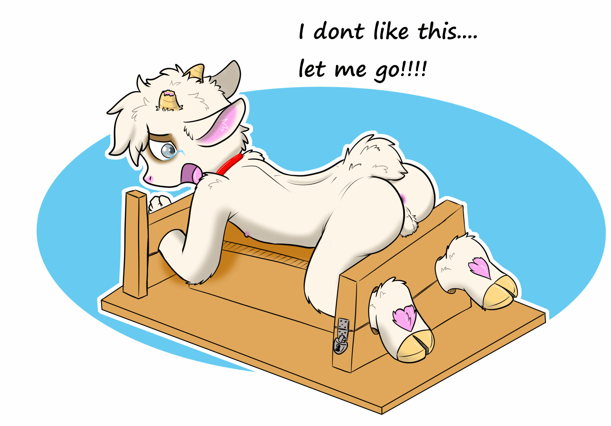 05-2025_17_BDSMpuppybox_Ruki
