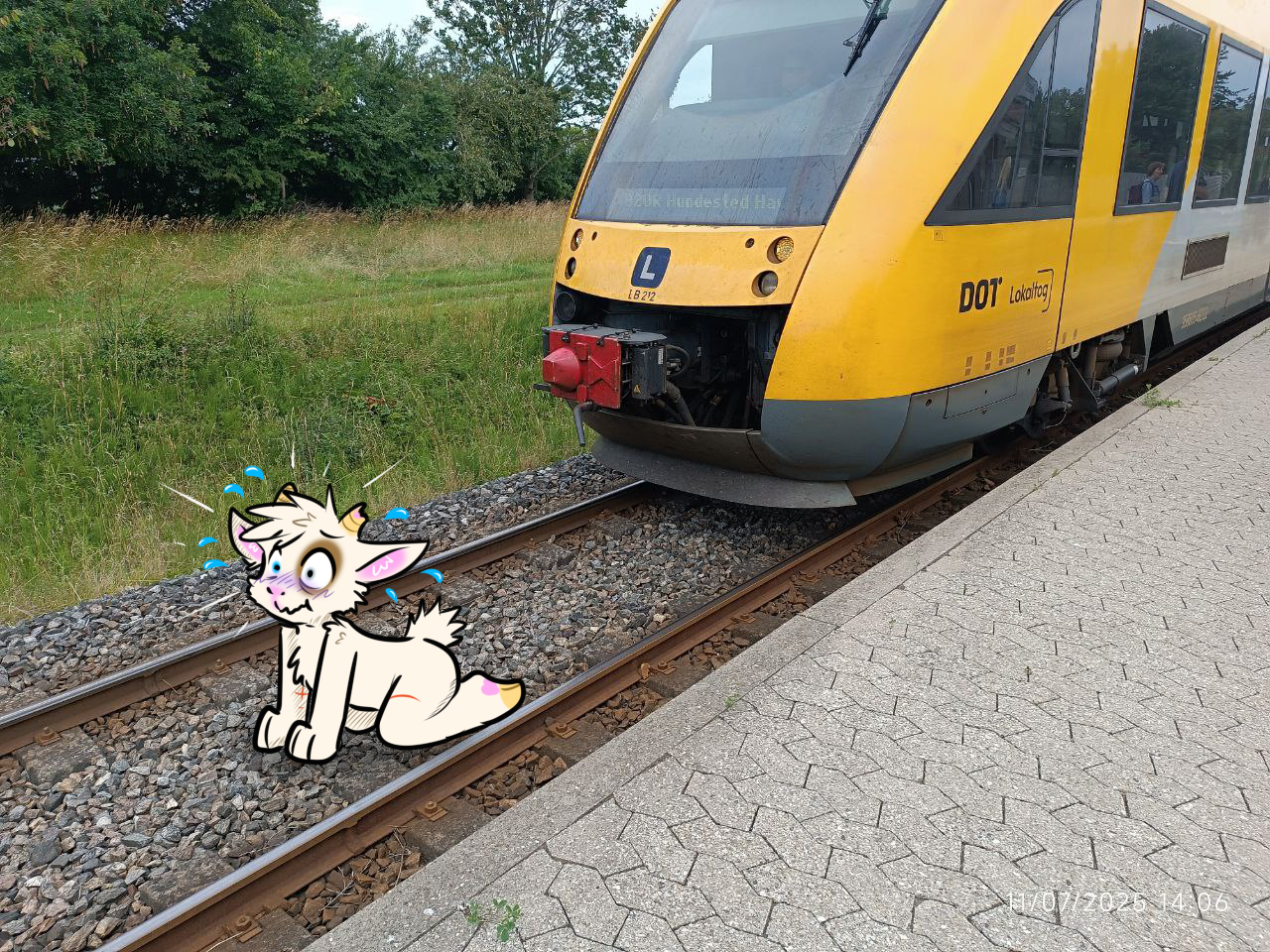 07-2025_12_Ruki_train_stop