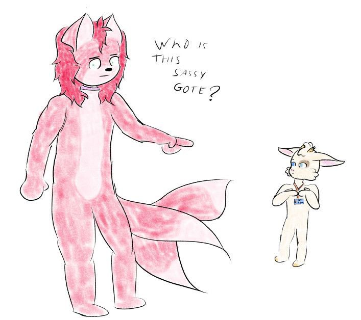 IMG_20250806_174623_987