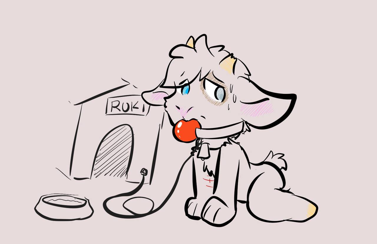 IMG_20251207_212226_210